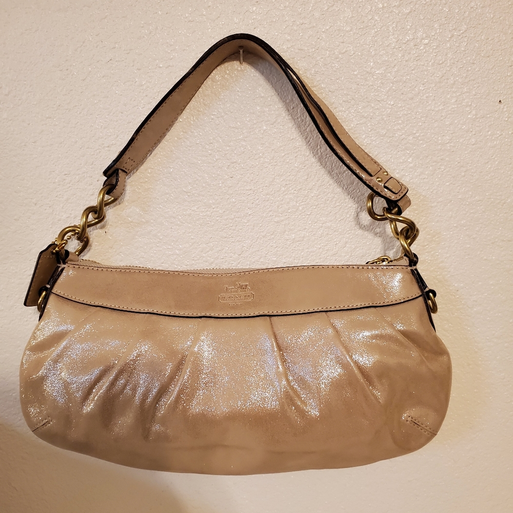 Coach Metallic Purse